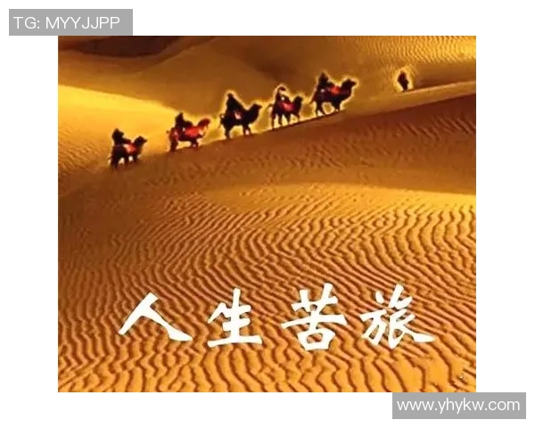 景菡一的成长之路：从梦想起航到人生巅峰的精彩旅程